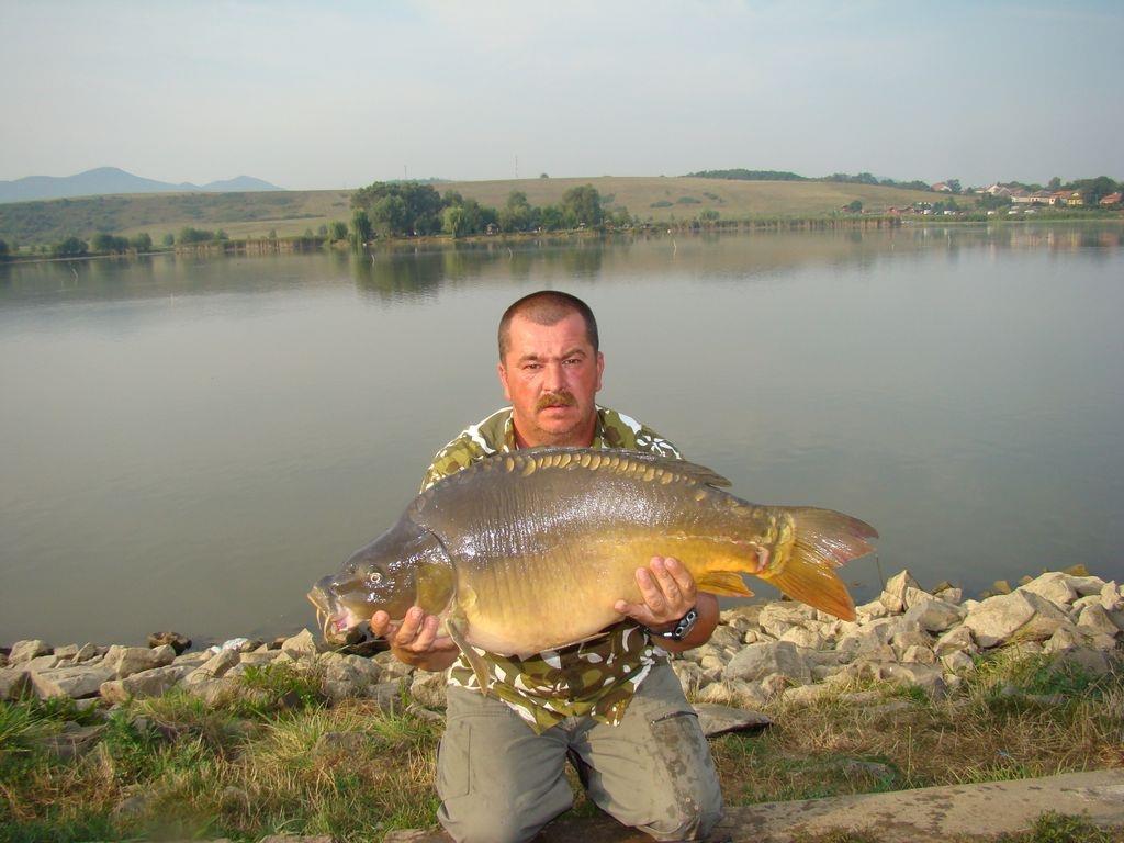 Cipibaits - 00106531.jpg